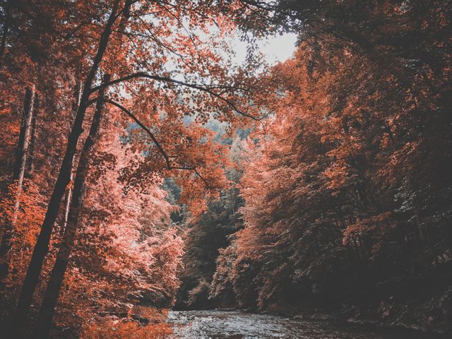 tumblr autumn photography