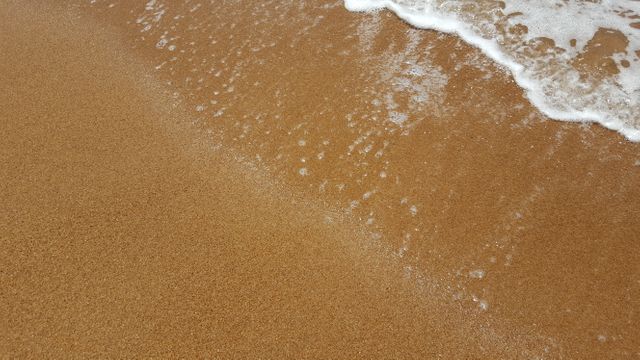 Gold sandy beach sea - Download Free Stock Photos Pikwizard.com