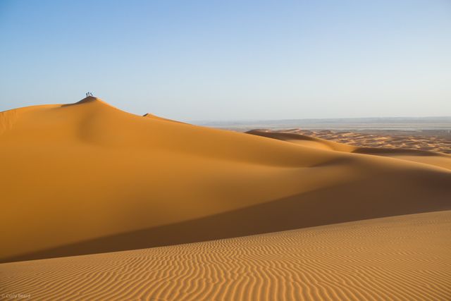 Brown Desert Sand during Daytime - Download Free Stock Photos Pikwizard.com