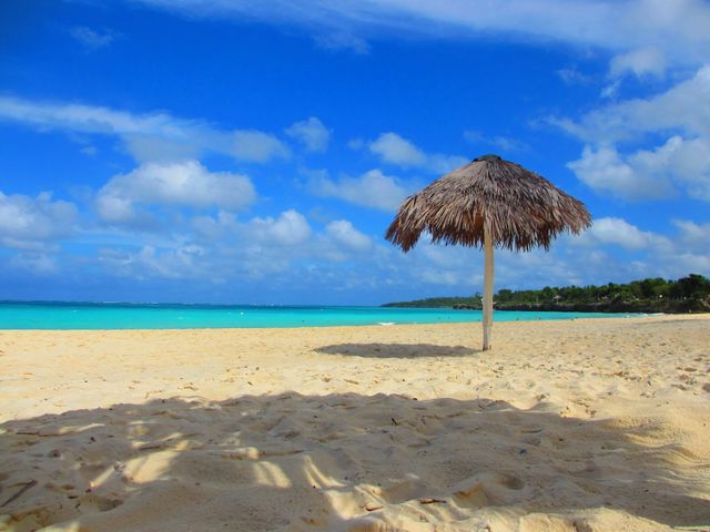 Beach tropical vacation  - Download Free Stock Photos Pikwizard.com