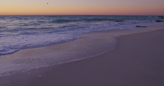 Sandy beach and calm sea with clear sky at sunset - Download Free Stock Photos Pikwizard.com