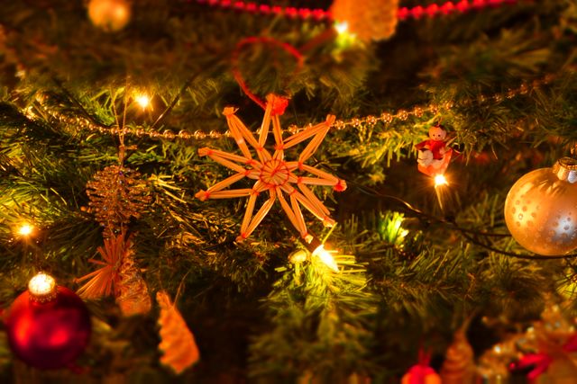 a christmas tree - Download Free Stock Photos Pikwizard.com