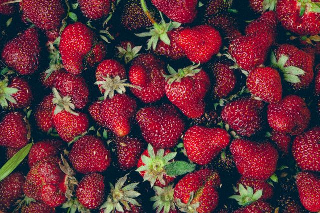 Strawberries - Download Free Stock Photos Pikwizard.com