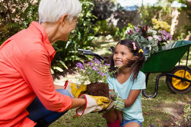 Smiling girl looking at grandmother while giving flowering pot - Download Free Stock Photos Pikwizard.com