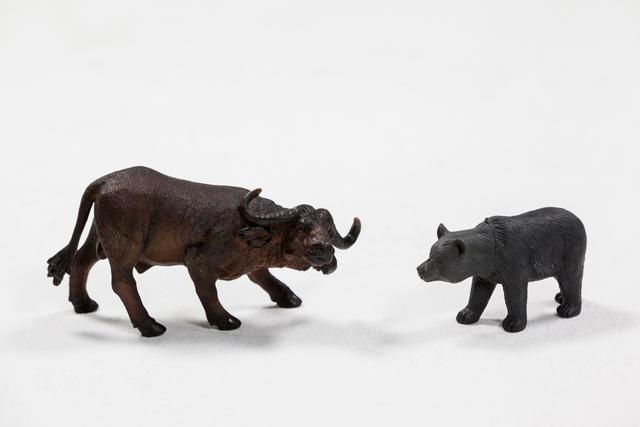 Miniature bear and charging buffalo - Download Free Stock Photos Pikwizard.com