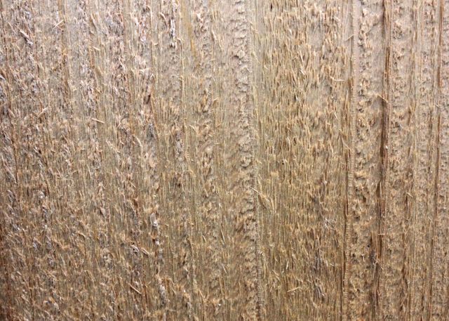 Close up of a brown wooden textured background. Background with abstract texture and design concept