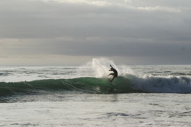 Ocean Surfing Killer whale - Download Free Stock Photos Pikwizard.com