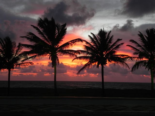 Palm Beach Sea - Download Free Stock Photos Pikwizard.com