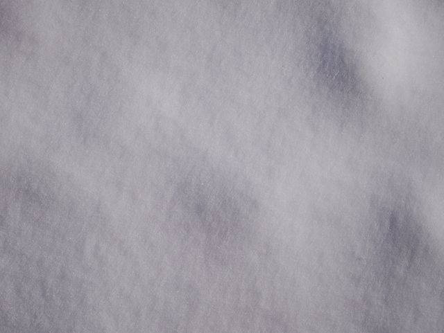 a snow covered ground - Download Free Stock Photos Pikwizard.com
