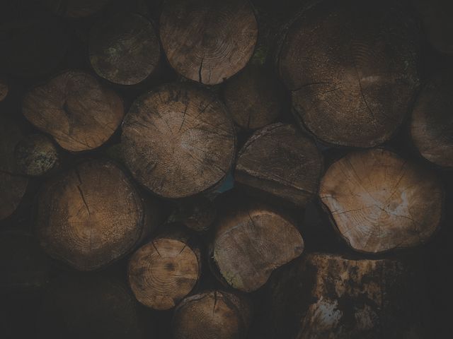Logs wooden logs - Download Free Stock Photos Pikwizard.com