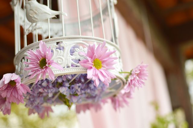 Flowers birdcage decoration - Download Free Stock Photos Pikwizard.com