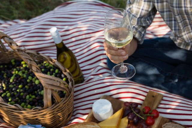 Mid-section of man sitting with a glass of wine on picnic blanket - Download Free Stock Photos Pikwizard.com
