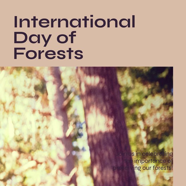 Composition of international day of forest text and trees in forest. International day of forest, nature and environment concept.