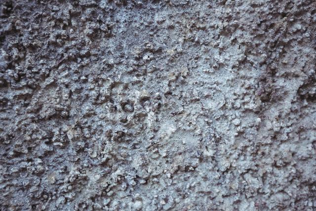 Rough concrete wall background - Download Free Stock Photos Pikwizard.com