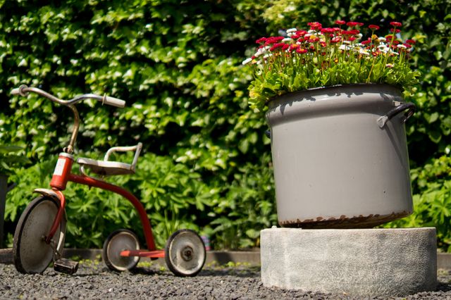 Tricycle pots flowers- Download Free Stock Photos Pikwizard.com