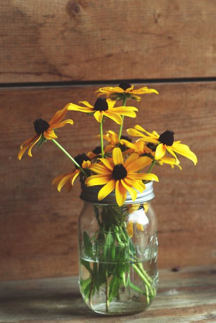 Sunflower Yellow Flower - Download Free Stock Photos Pikwizard.com
