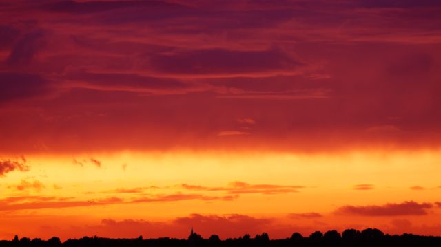 Silhouette of Trees Under Orange and Red Sky - Download Free Stock Photos Pikwizard.com