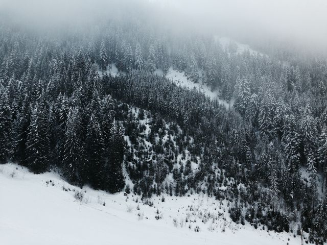 a snowy mountain side - Download Free Stock Photos Pikwizard.com