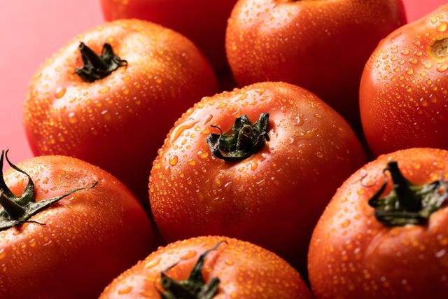 Close-up view of fresh red tomatoes with water droplets. unaltered, food, healthy eating, organic concept.