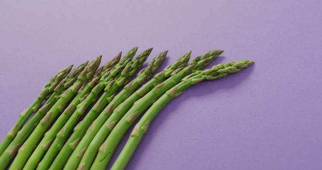 Image of fresh asparagus with copy space over lilac background - Download Free Stock Photos Pikwizard.com