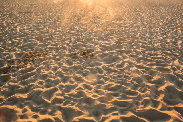 Beach sand footprints- Download Free Stock Photos Pikwizard.com