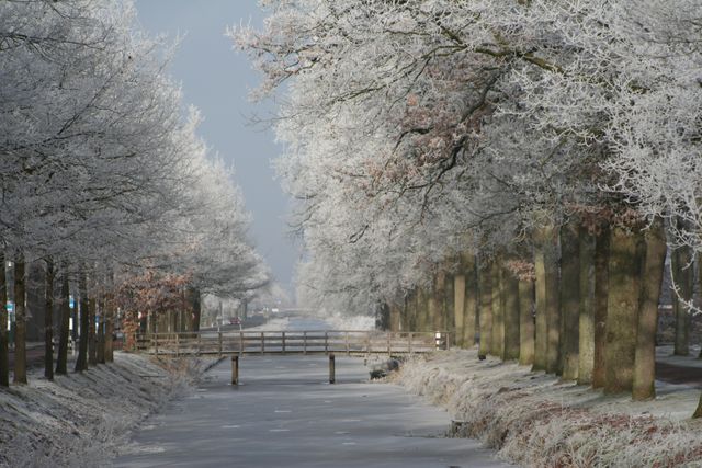 Landscape Snow Winter - Download Free Stock Photos Pikwizard.com