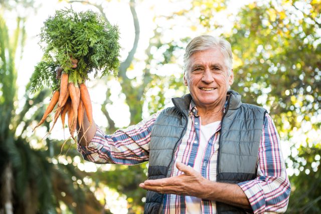 Portrait of mature gardener with carrots at farm - Download Free Stock Photos Pikwizard.com