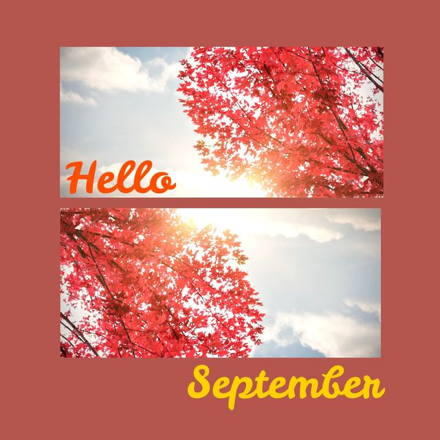 Collage of maple leaves on trees against cloudy sky and hello september text, copy space. Digital composite, image montage, red, leaf, sunlight, autumn season and nature concept.