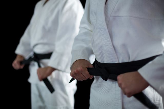 Two karate fighters performing karate stance - Download Free Stock Photos Pikwizard.com