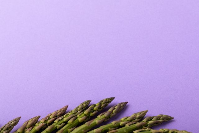Overhead view of asparagus on purple background with copy space - Download Free Stock Photos Pikwizard.com