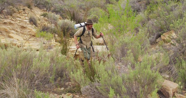 Caucasian male survivalist trekking through wilderness with backpack and walking poles. exploration, travel and adventure, survivalist in nature.