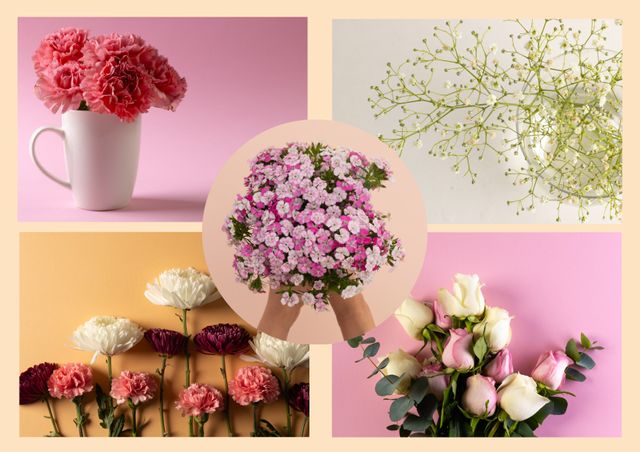 Free Flowers shapes pink Templates - PikWizard