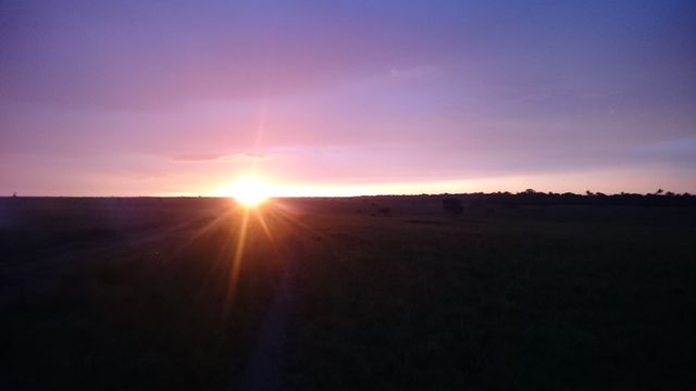 the sun setting over a field - Download Free Stock Photos Pikwizard.com