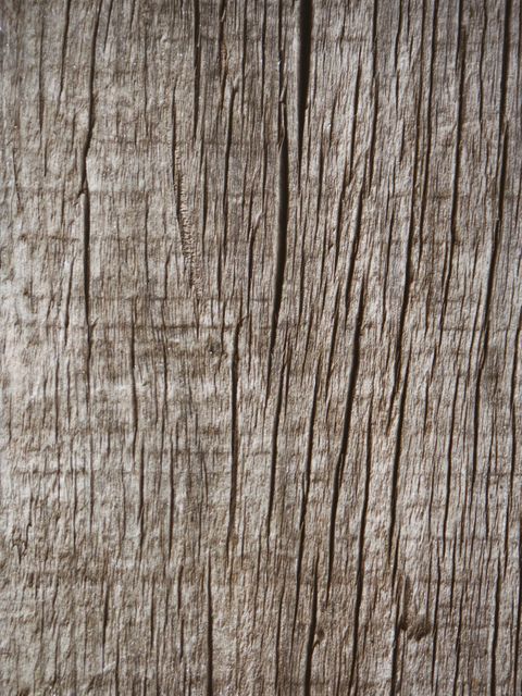 a wood texture - Download Free Stock Photos Pikwizard.com