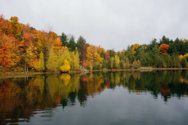 a lake with fall trees - Download Free Stock Photos Pikwizard.com
