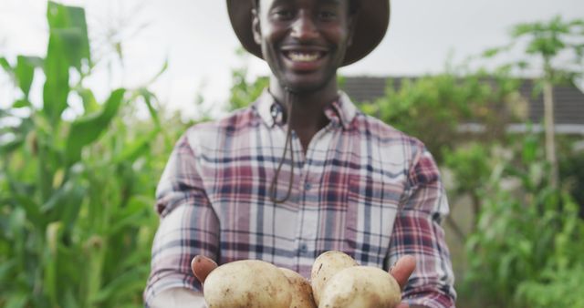Smiling african american man holding fresh potatoes in garden. Gardening, organic food, healthy eating, hobbies and nature.