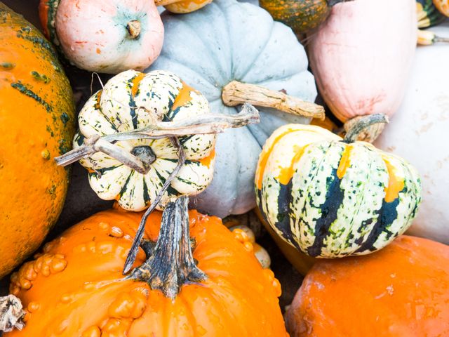 Pumpkins halloween fall - Download Free Stock Photos Pikwizard.com