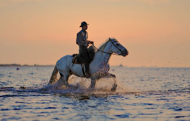 Man Riding Horse in Sea - Download Free Stock Photos Pikwizard.com