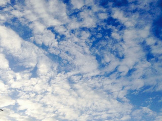 Low angle view of clouds in sky - Download Free Stock Photos Pikwizard.com