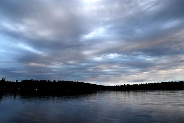 Silhouette of Tress Beside Body of Water on Cloudy Day - Download Free Stock Photos Pikwizard.com