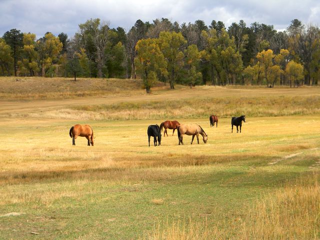Land Landscape Grass - Download Free Stock Photos Pikwizard.com
