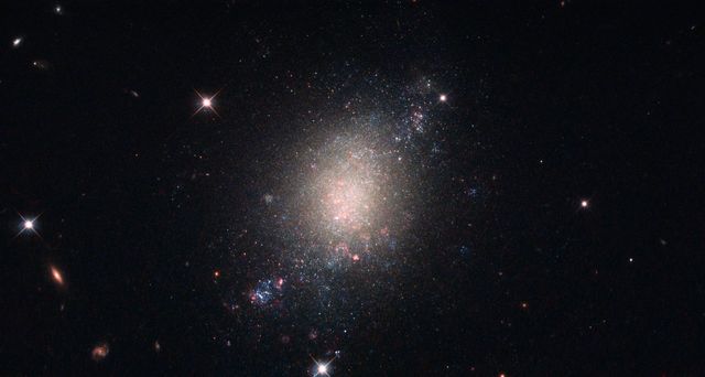 This image displays a galaxy known as ESO 486-21 (with several other background galaxies and foreground stars visible in the field as well). ESO 486-21 is a spiral galaxy — albeit with a somewhat irregular and ill-defined structure — located some 30 million light-years from Earth.  The NASA/ESA (European Space Agency) Hubble Space Telescope observed this object while performing a survey — the Legacy ExtraGalactic UV Survey (LEGUS) — of 50 nearby star-forming galaxies. The LEGUS sample was selected to cover a diverse range of galactic morphologies, star formation rates, galaxy masses and more. Astronomers use such data to understand how stars form and evolve within clusters, and how these processes affect both their home galaxy and the wider universe. ESO 486-21 is an ideal candidate for inclusion in such a survey because it is known to be in the process of forming new stars, which are created when large clouds of gas and dust (seen here in pink) within the galaxy crumple inwards upon themselves.  Credit: NASA/ESA   <b><a href="http://www.nasa.gov/audience/formedia/features/MP_Photo_Guidelines.html" rel="nofollow">NASA image use policy.</a></b>  <b><a href="http://www.nasa.gov/centers/goddard/home/index.html" rel="nofollow">NASA Goddard Space Flight Center</a></b> enables NASA’s mission through four scientific endeavors: Earth Science, Heliophysics, Solar System Exploration, and Astrophysics. Goddard plays a leading role in NASA’s accomplishments by contributing compelling scientific knowledge to advance the Agency’s mission.  <b>Follow us on <a href="http://twitter.com/NASAGoddardPix" rel="nofollow">Twitter</a></b>  <b>Like us on <a href="http://www.facebook.com/pages/Greenbelt-MD/NASA-Goddard/395013845897?ref=tsd" rel="nofollow">Facebook</a></b>  <b>Find us on <a href="http://instagrid.me/nasagoddard/?vm=grid" rel="nofollow">Instagram</a></b>      