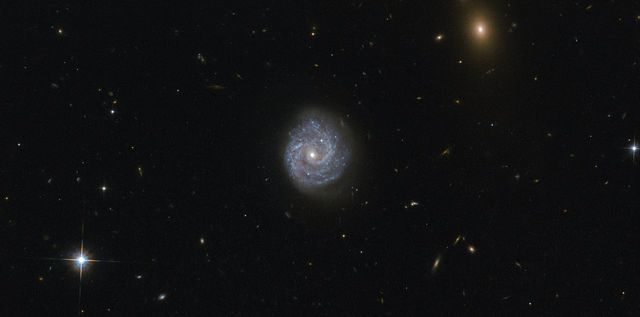 Hubble Gazes Into a Black Hole of Puzzling Light - Download Free Stock Photos Pikwizard.com