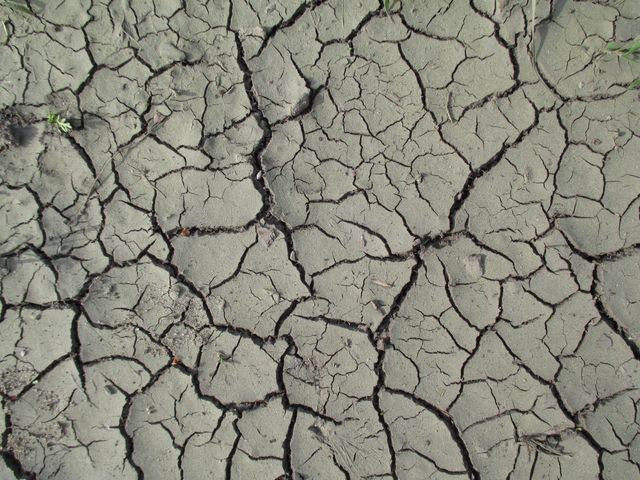 Beautiful cracked desire drought - Download Free Stock Photos Pikwizard.com