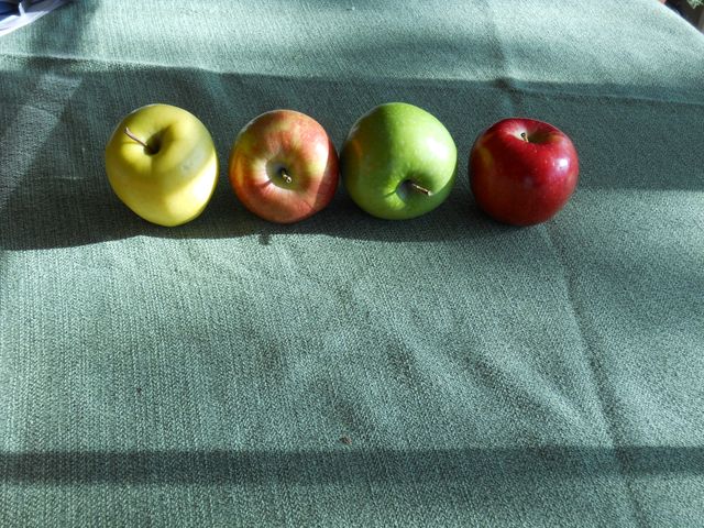 Apple Granny smith Eating apple - Download Free Stock Photos Pikwizard.com