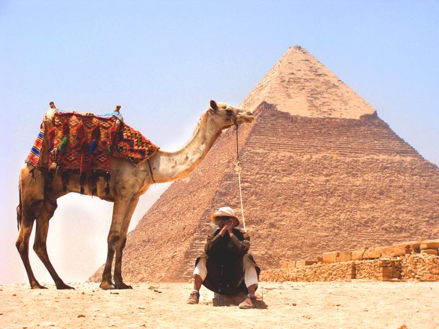 Camel desert pyramid  - Download Free Stock Photos Pikwizard.com