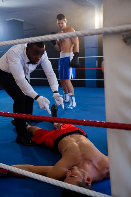 Referee counting by unconscious boxer in ring - Download Free Stock Photos Pikwizard.com