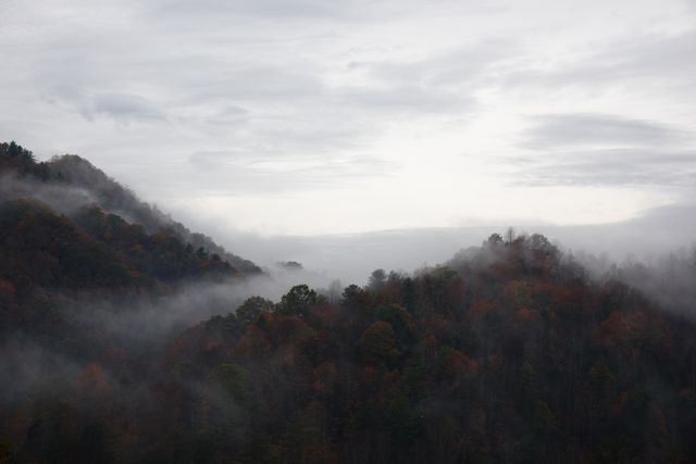 Mountain Range View With Mist - Download Free Stock Photos Pikwizard.com