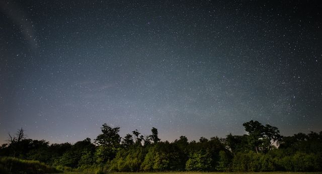 Green Trees Under Starry Sky during Nighttime - Download Free Stock Photos Pikwizard.com