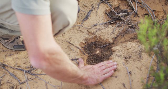 Caucasian male survivalist in wilderness examining and measuring animal print in sand with hand. exploration, travel and adventure, survivalist in nature.
